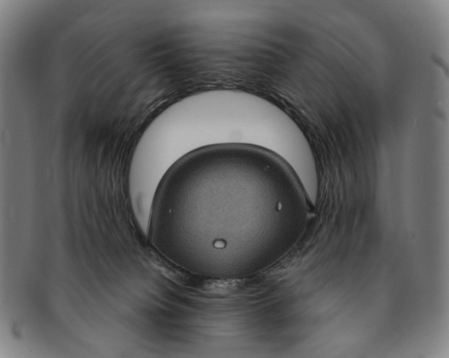 X0000091000084200708241459