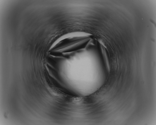 X0000091000088200708241459