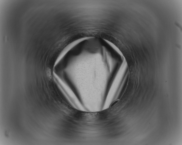 X0000091000089200708241459