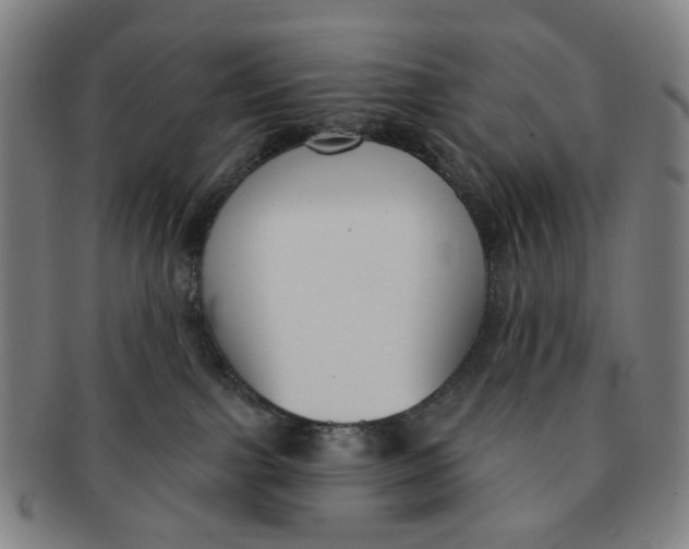 X0000091000091200708241459