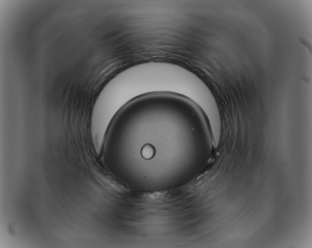 X0000091000092200708241459