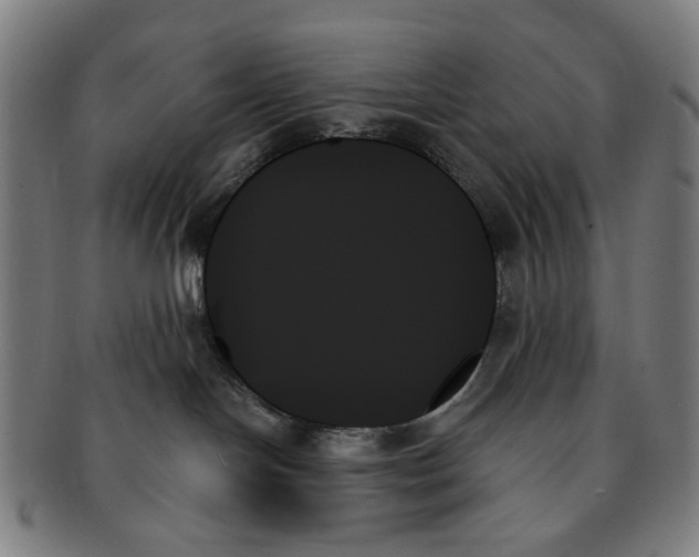 X0000091000094200708241500