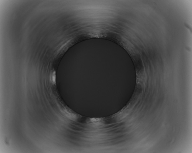 X0000091000095200708241500