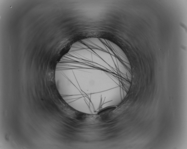 X0000091000096200708241500