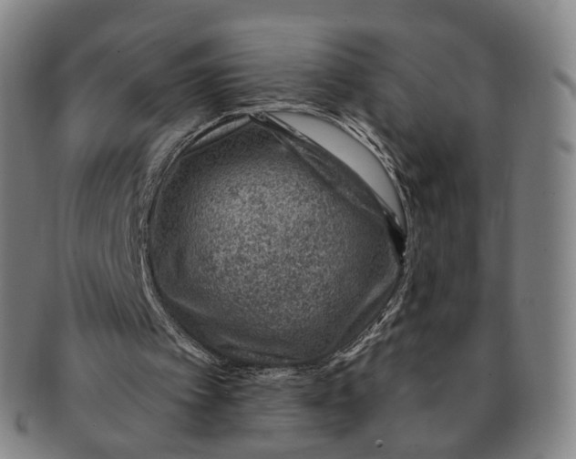 X0000091000097200708241459