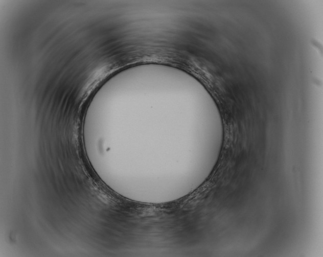 X0000091000098200708241459