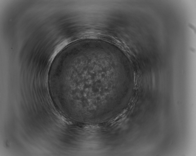 X0000091000099200708241459