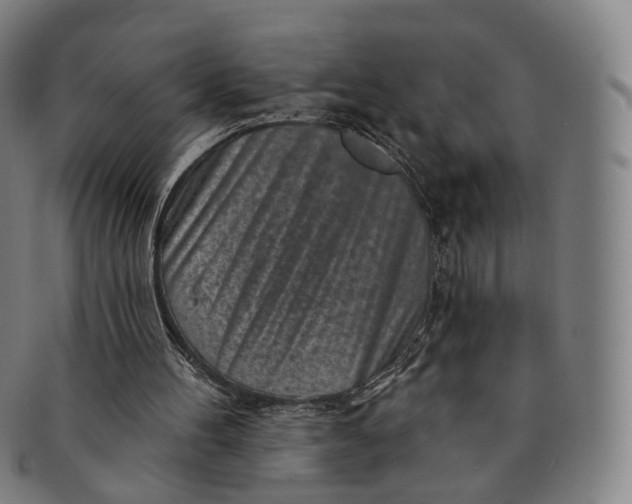 X0000091000100200708241459