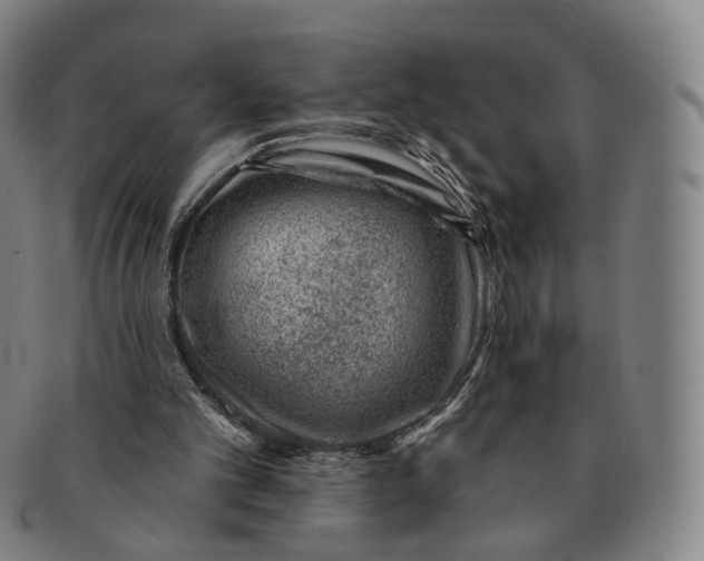 X0000091000101200708241459