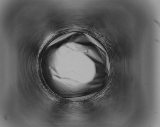 X0000091000102200708241459