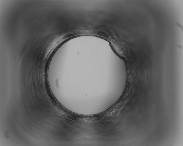 X0000091000103200708241459