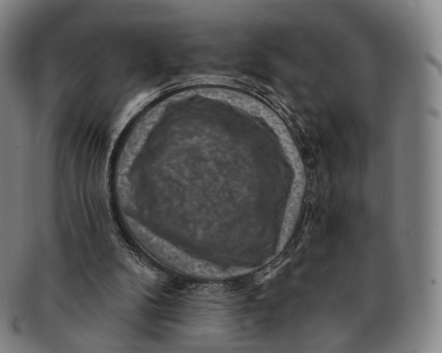 X0000091000104200708241459