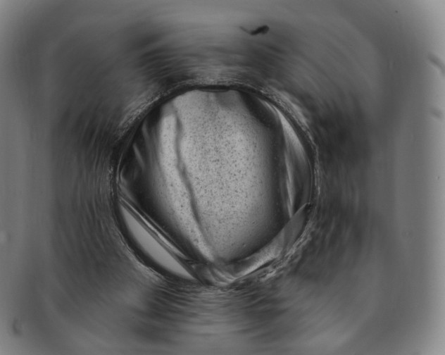 X0000091000105200708241459