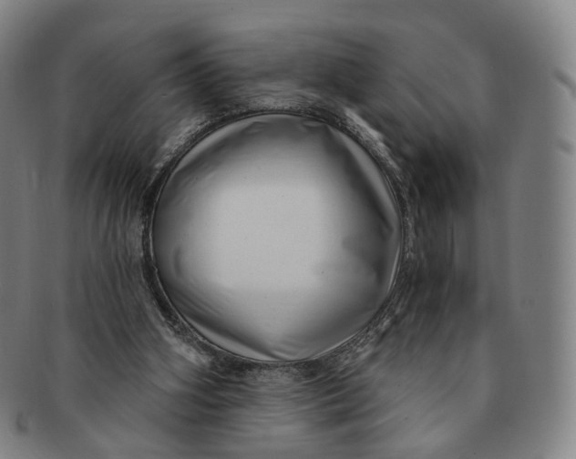 X0000091000106200708241459