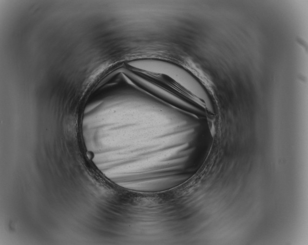 X0000091000107200708241459