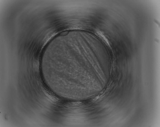 X0000091000108200708241459