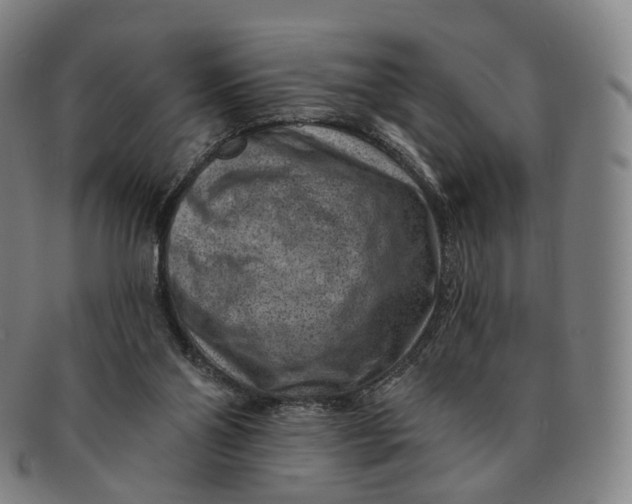 X0000091000110200708241459