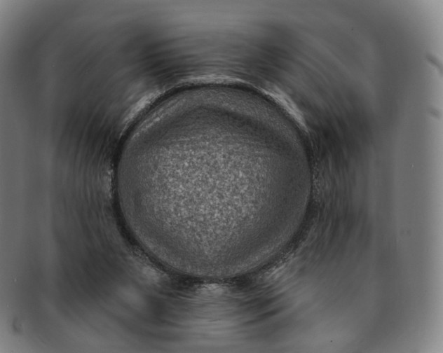 X0000091000111200708241459