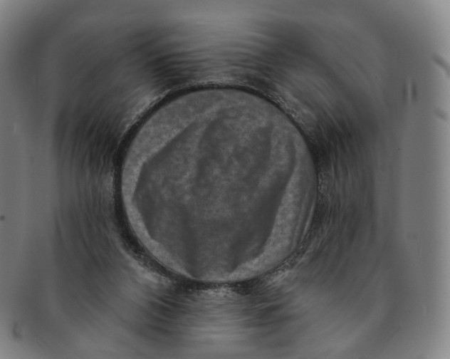 X0000091000112200708241459