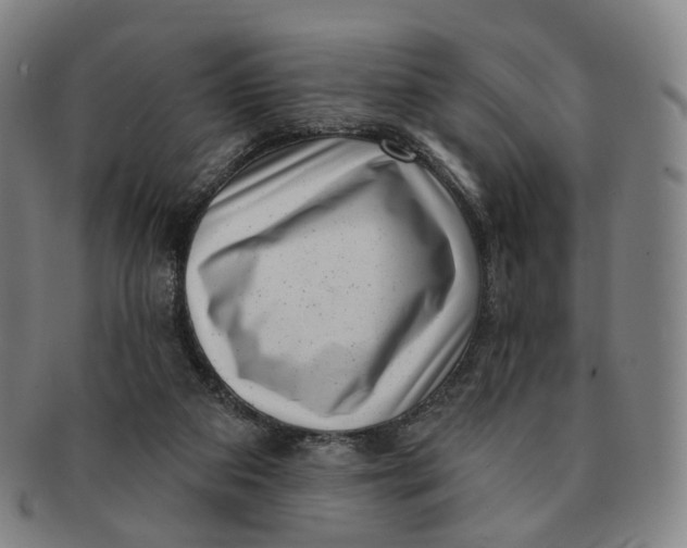 X0000091000113200708241459