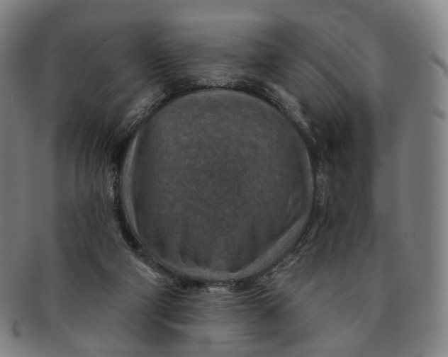 X0000091000114200708241459