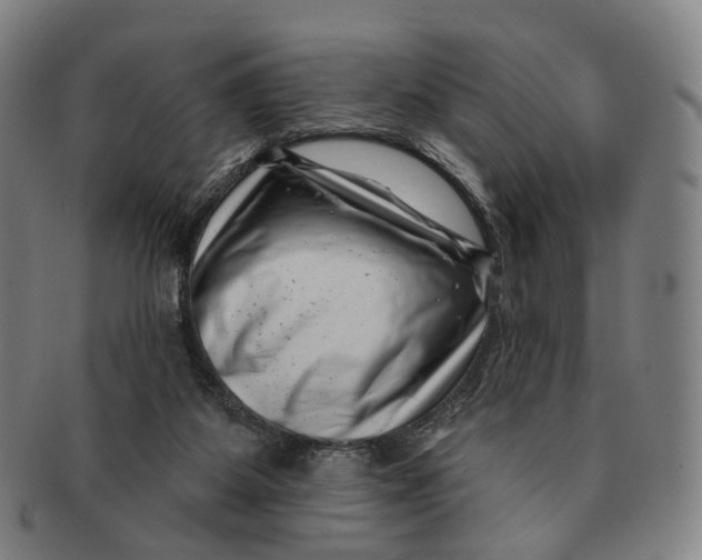 X0000091000115200708241459