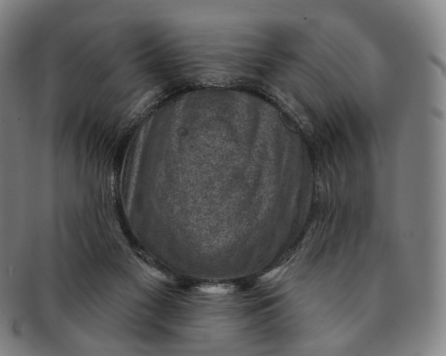 X0000091000117200708241459