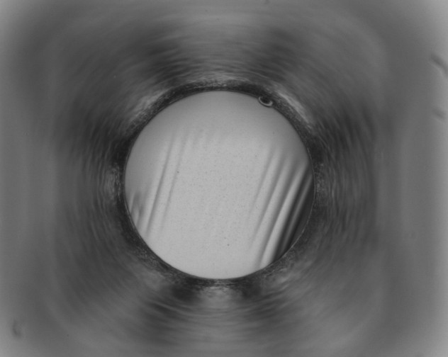 X0000091000119200708241459