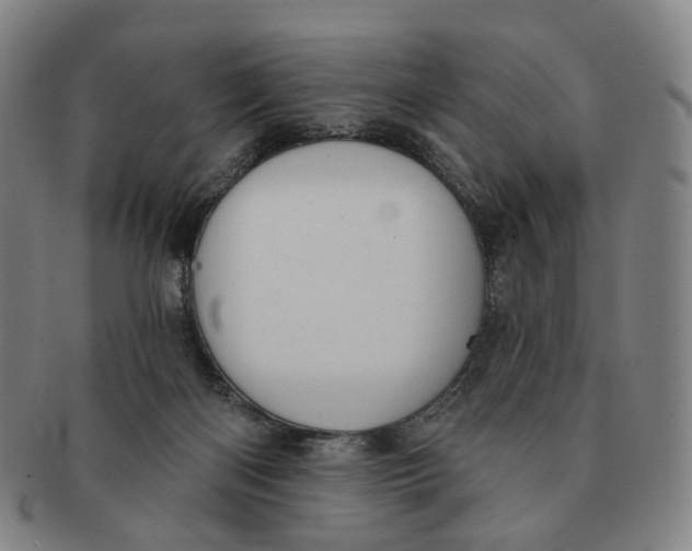 X0000091000122200708241459