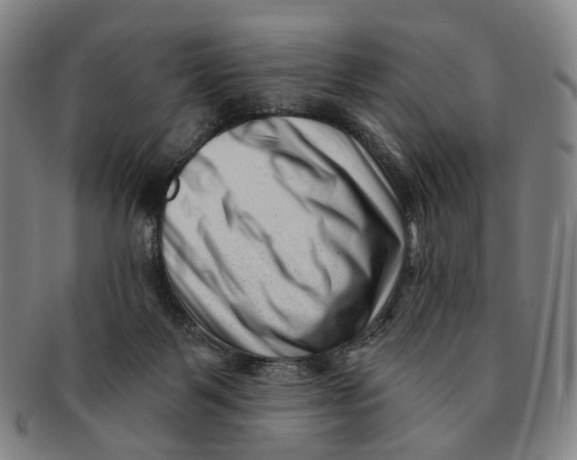 X0000091000123200708241459