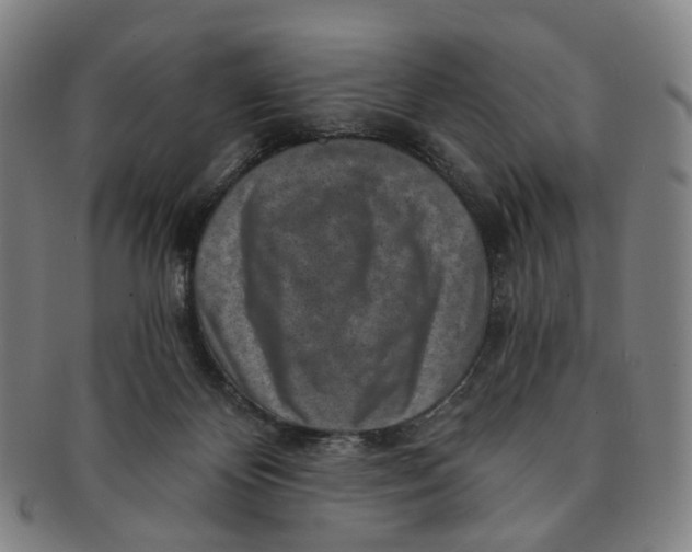 X0000091000124200708241459