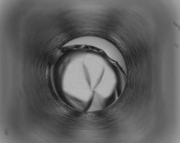 X0000091000125200708241459