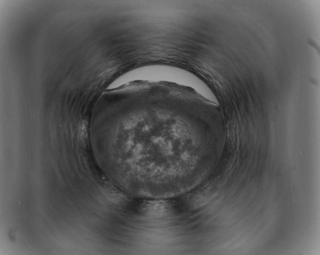 X0000091000127200708241458