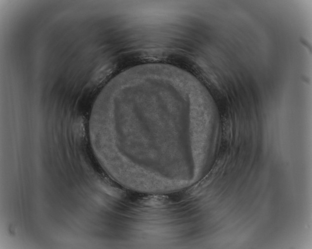 X0000091000128200708241458