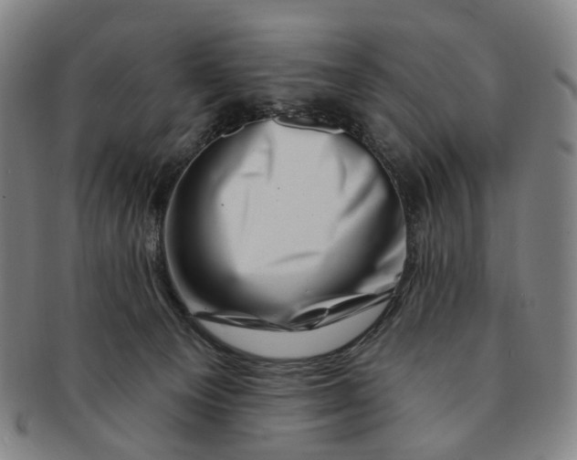 X0000091000129200708241458