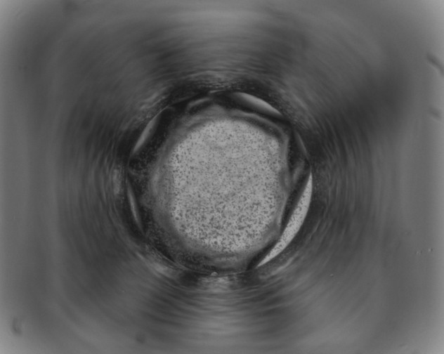 X0000091000131200708241458