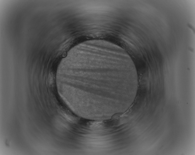 X0000091000132200708241458