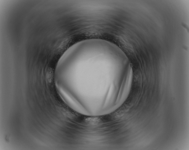 X0000091000133200708241458