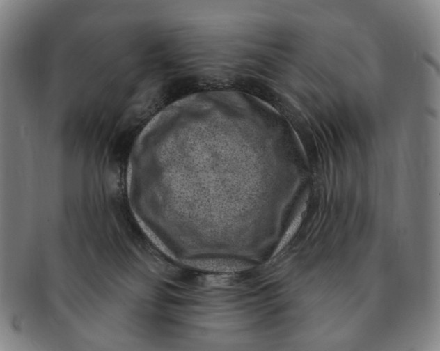 X0000091000134200708241458