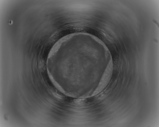 X0000091000136200708241458