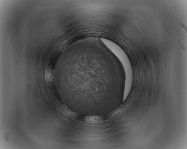 X0000091000137200708241458