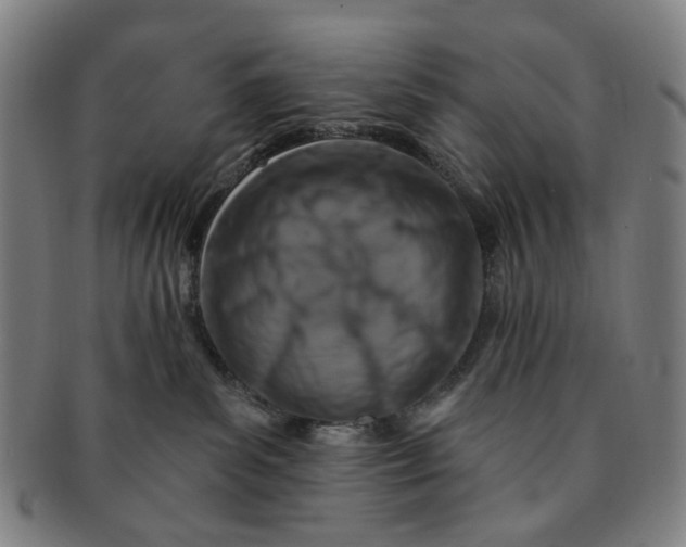 X0000091000139200708241458