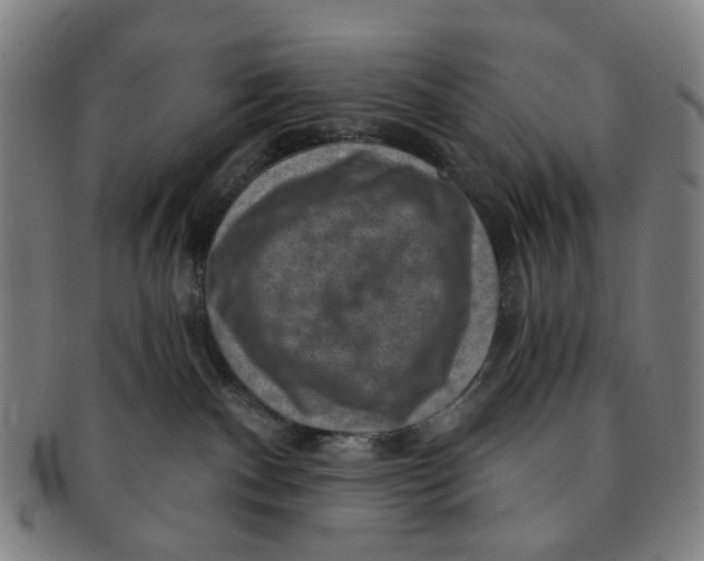 X0000091000140200708241458