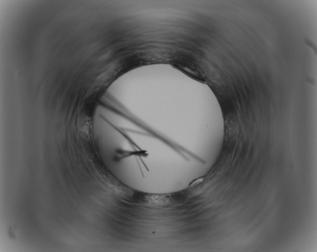 X0000091000141200708241458