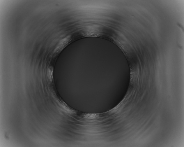 X0000091000142200708241458