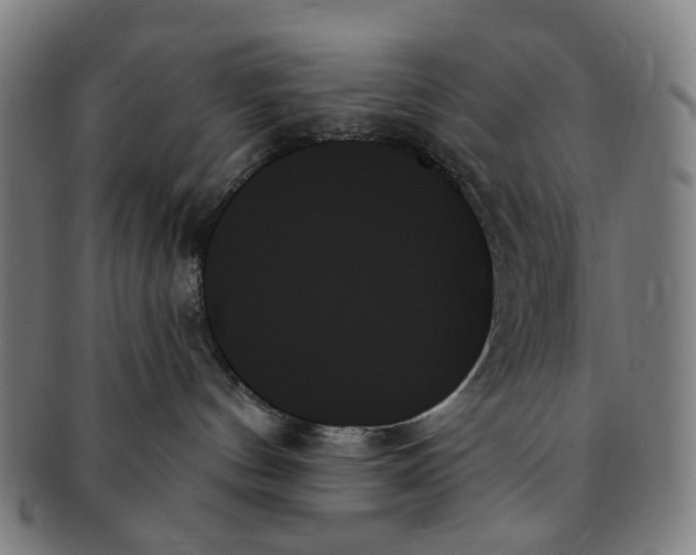 X0000091000144200708241458