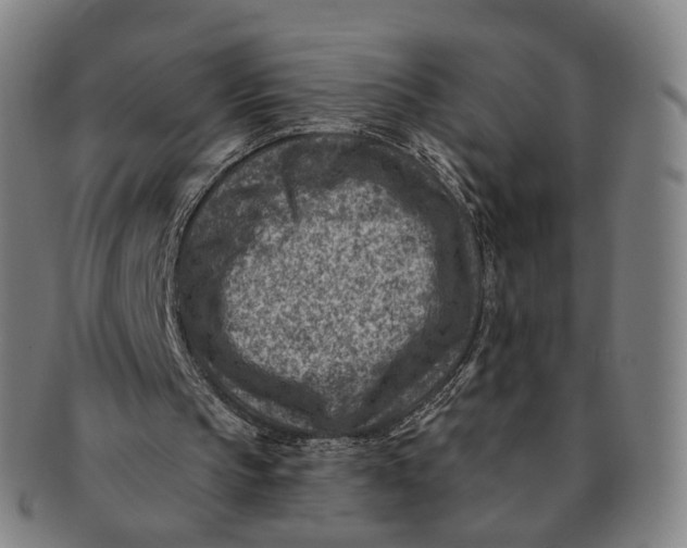 X0000091000145200708241458