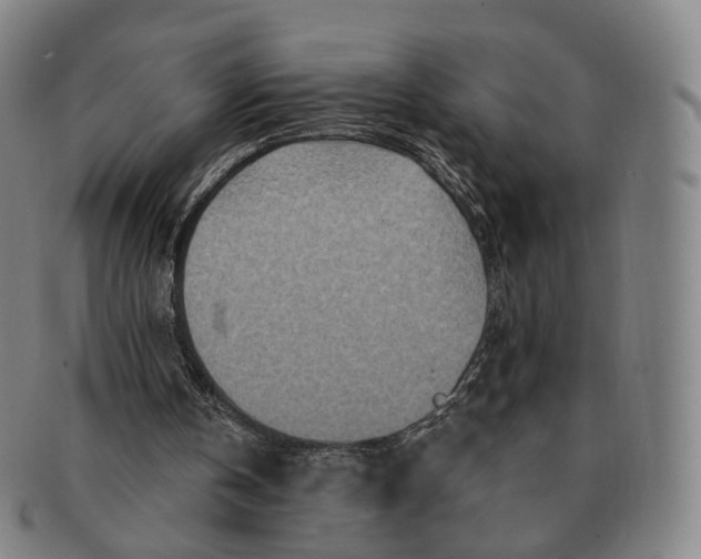 X0000091000146200708241458