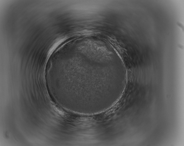 X0000091000147200708241458