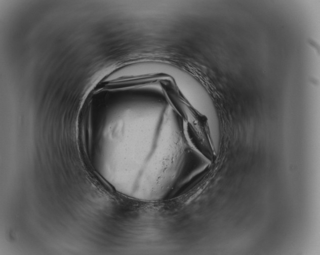 X0000091000148200708241458